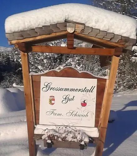 Apartament Grossummerstall Mittersill